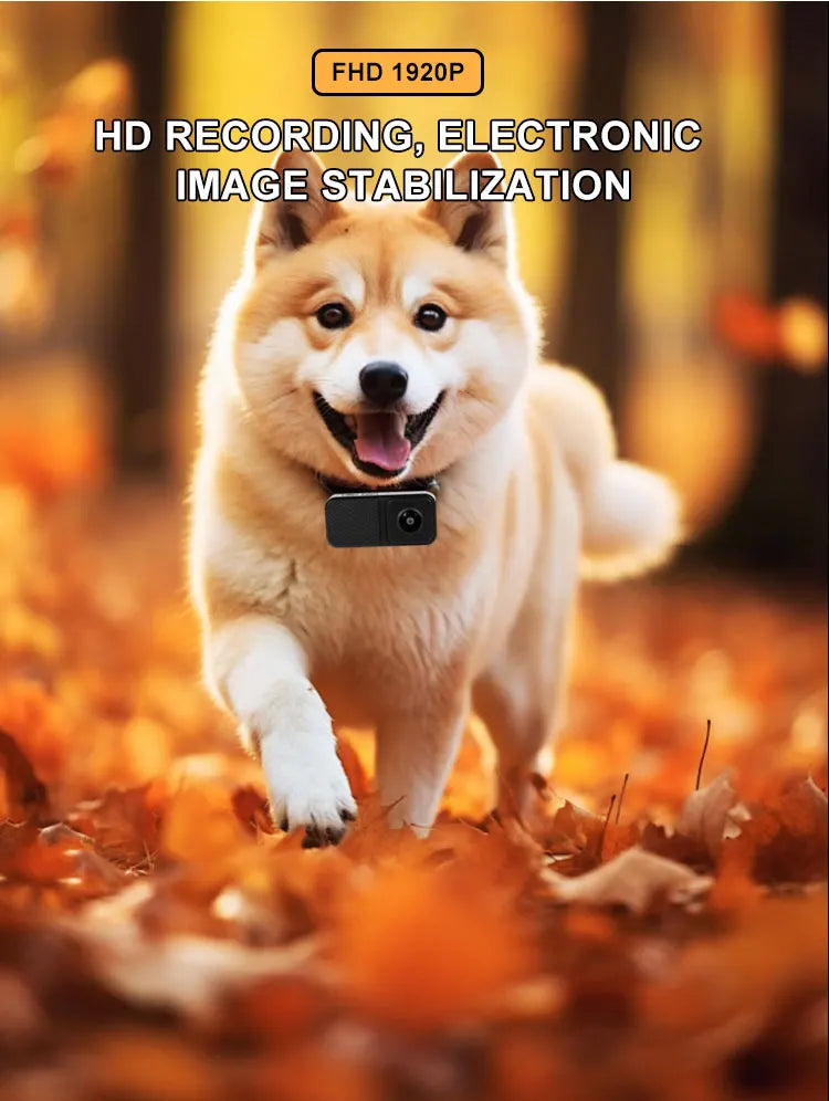 BORME HD 1080P Pet Cameras Dog Cat Pet Camera Wireless Collar Camera No WiFi Needed Video Records for Cats Dogs Birthday Gift