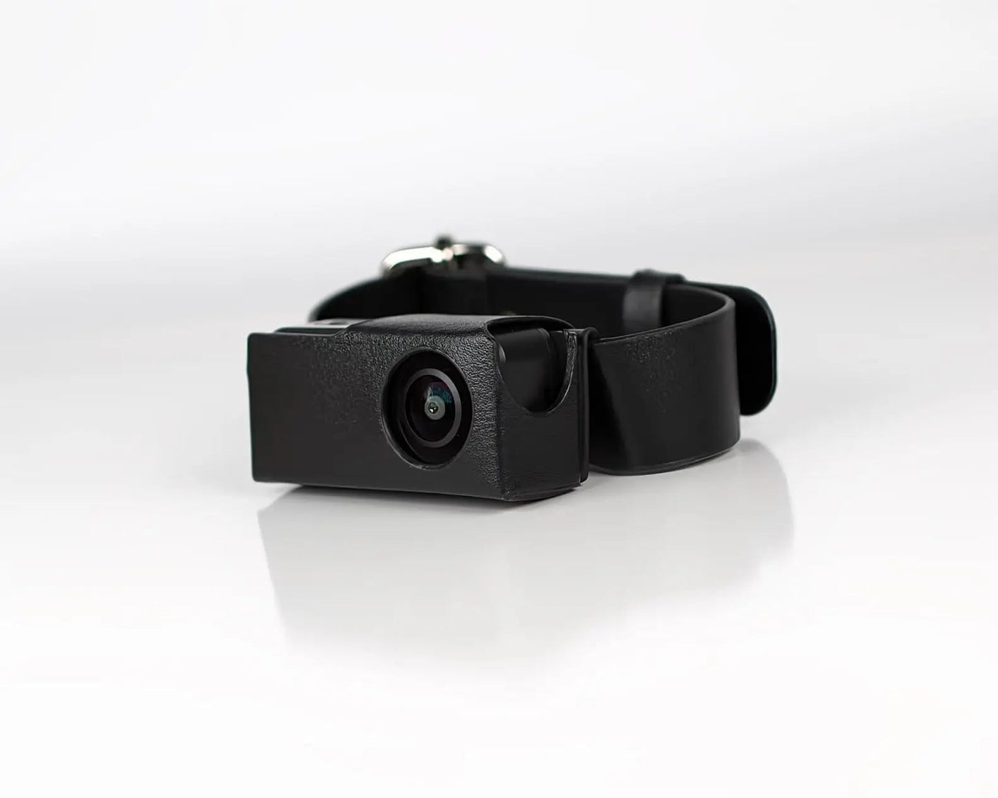 Whiskcam — Complete Kit (Camera + 32GB + Adapter + Collar + Guide)